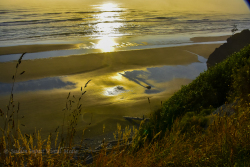 Golden sunlight is reflected in the sea and sand. Kalaloch, Olympic national Park, Washington.