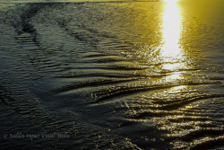 Setting sun reflected in water from spent waves flows back to the sea. Ruby Beach, Olympic National Park, Washington.