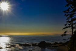 The rocky shore of Washington in the late afternoon sun. Kalaloch, Washington. Olympic National Park.