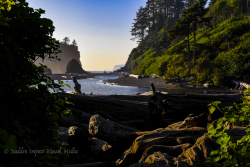 Tidepool nestles in to the edge of a rocky beach. Ruby Beach, Olympic National Park, Washington.