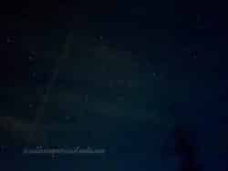 Summer-Nights-2025-02