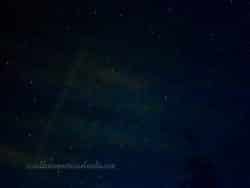 Summer-Nights-2025-03