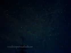Summer-Nights-2025-04