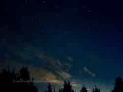 Summer-Nights-2025-05