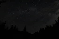 Night settles upon the forest