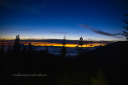 WhiteChuckMtn72514