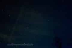 Summer-Nights-2025-02