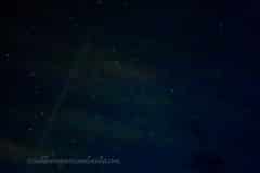 Summer-Nights-2025-03