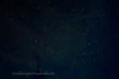 Summer-Nights-2025-04