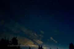 Summer-Nights-2025-05
