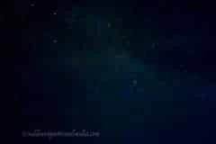 Summer-Nights-2025-06
