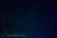 Summer-Nights-2025-07
