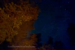Summer-Nights-2025-10