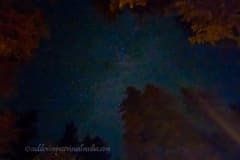 Summer-Nights-2025-11